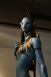 Loinclothed hobby; Obr�zek dne - the picture od the day - �awa rel - Neytiri