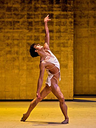 Loinclothed hobby; Obr�zek dne - the picture od the day - �awa rel - Davide Dato, Weiner Staatsballett, foto  Ashley Taylor 