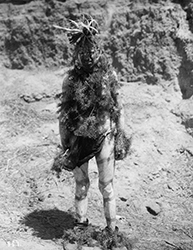 Loinclothed hobby; Obr�zek dne - the picture od the day - �awa rel - Santo Domingo Pueble man in ceremonial dress, including evergreen boughs.