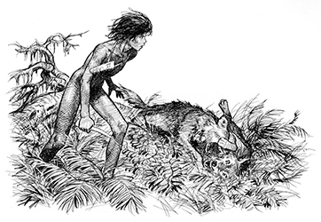 Loinclothed hobby; Obr�zek dne - the picture od the day - �awa rel - Pierre Jobert, Le Livre de la Jungle