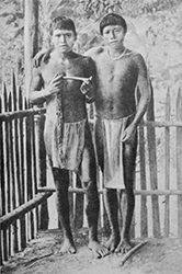 Loinclothed hobby; Obr�zek dne - the picture od the day - �awa rel - Carib Indians - Arawak Indians