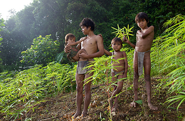 Loinclothed hobby; Obr�zek dne - the picture od the day - �awa rel -  Alegra Ally, Tau't Batu tribe