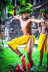 Loinclothed hobby; Obr�zek dne - the picture od the day - �awa rel - Ephemeral Life, loinclothed Hawaii, Guided by Ke Akua & kupuna...  