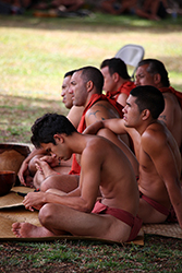 Loinclothed hobby; Obr�zek dne - the picture od the day - �awa rel - Ephemeral Life, loinclothed Hawaii, Guided by Ke Akua & kupuna...  