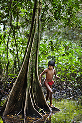 Loinclothed hobby; Obr�zek dne - the picture od the day - �awa rel - Bo Mathisen, Wajapi tribe