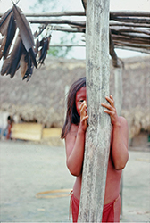 Loinclothed hobby; Obr�zek dne - the picture od the day - �awa rel -  Photo by Daniel Schoepf, Etat de Par�, Rio Paru de l'est / Rio Citar� , 1972