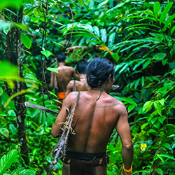 Loinclothed hobby; Obr�zek dne - the picture od the day - �awa rel - The Mentawai hunt, Siberut Island, Indonesia, Photo by Fabien Astre