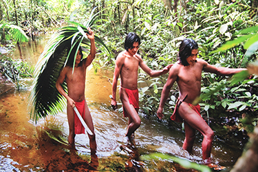 Loinclothed hobby; Obr�zek dne - the picture od the day - �awa rel - Wayana indians in a water route deep in a jungle 