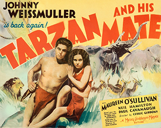Loinclothed hobby; Obr�zek dne - the picture od the day - �awa rel - Tarzan and His Mate - (MGM, 1934) - William Galbraith Crawford Artwork, Johnny Weissmuller aka Tarzan 