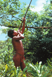 Loinclothed hobby; Obr�zek dne - the picture od the day - �awa rel -   Embera hunter