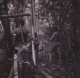 Loinclothed hobby; Obr�zek dne - the picture od the day - �awa rel -  Wai Wai tribe members stripping bark in the middle of the forest