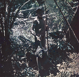 Loinclothed hobby; Obr�zek dne - the picture od the day - �awa rel -  Colour positive film of young Wai Wai male with bow and arrow, holding dead porcine creature