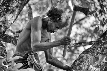 Loinclothed hobby; Obr�zek dne - the picture od the day - �awa rel - Vedda � Sri Lanka