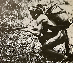 Loinclothed hobby; Obr�zek dne - the picture od the day - �awa rel - Des Hommes Debout � Les Montagnards du Sud-Vietnam