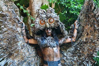 Loinclothed hobby; Obr�zek dne - the picture od the day - �awa rel - Mayan Owl Dancer