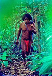 Loinclothed hobby; Obr�zek dne - the picture od the day - �awa rel -  Noanama man is walking a narrow Choco rain forest path