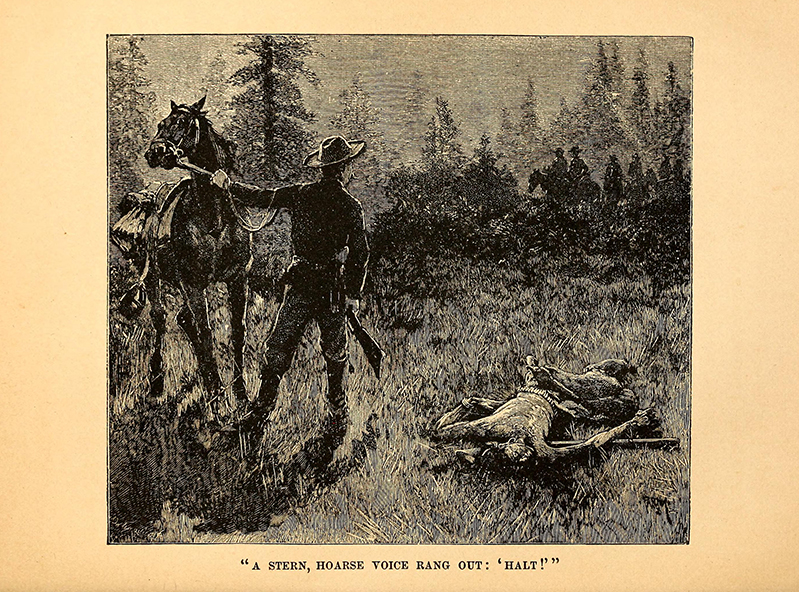 Two Arrows by  W. O. Stoddard, 1886, illustrated by Farny