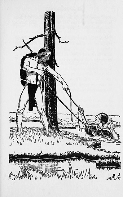 The White Falcon, by Sydney E. Fletcher, illustrated by Frederick T. Chapman,  New York, Knopf ~ 1955 