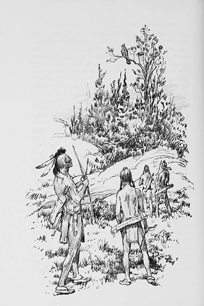 The Indians of northeastern America, by Karna L. Bjorklund, ilustrated by: Lorence Bjorklund