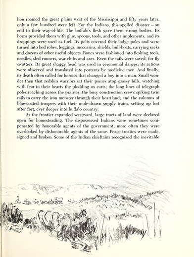 A picture report of the Custer fight