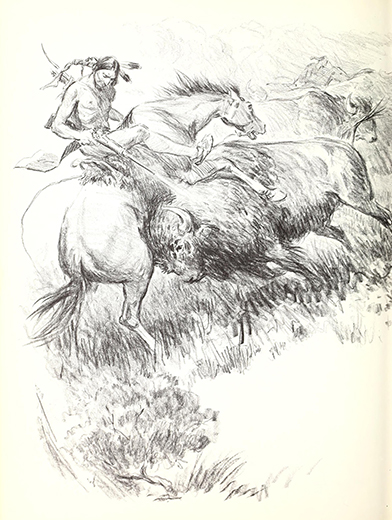 A picture report of the Custer fight