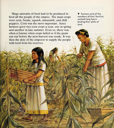 Growing up in Aztec times, Marion Wood, illustrated by Richard Hook 