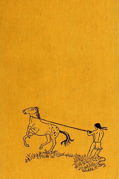 Red Cloud, Sioux war chief,  Virginia Frances  Voight, Illustrated  by Victor Mays, art of Patricia Boodell