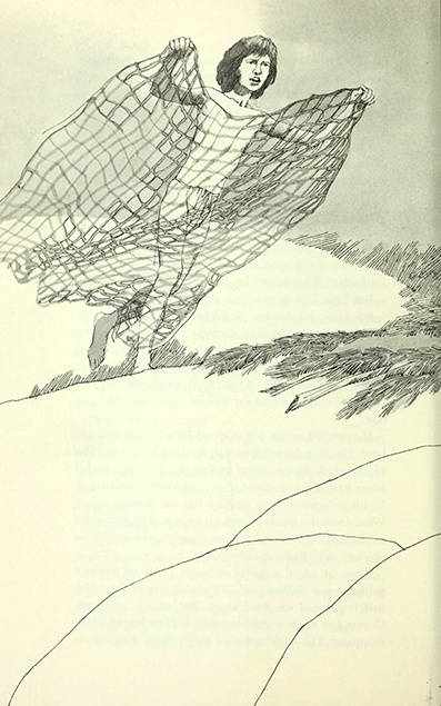 The golden coyote, May Nelson,  Eileen Thompson, illustrated by Richard  Cuffari 