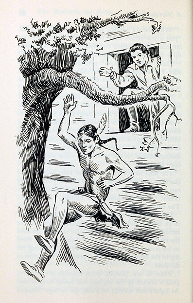The redbirds are flying, May Nelson, Edward William, illustrated by Carl Kidwell 
