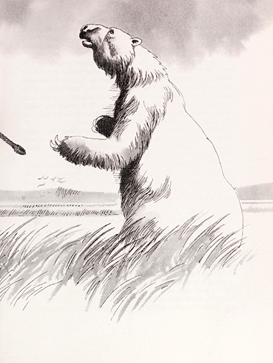 The Chippewa Indians, Sonia Bleeker, illustrated by Patricia Boodell  