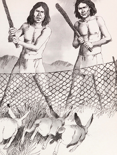 The Chippewa Indians, Sonia Bleeker, illustrated by Patricia Boodell  