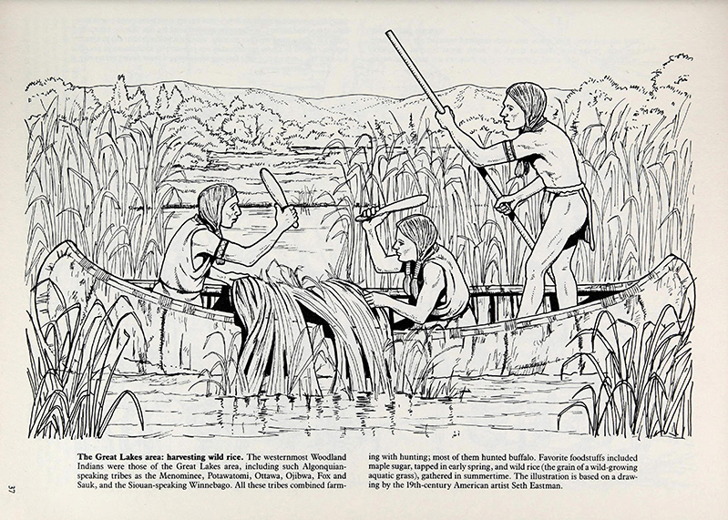 Indian life in pre-Columbian North America, John Green 