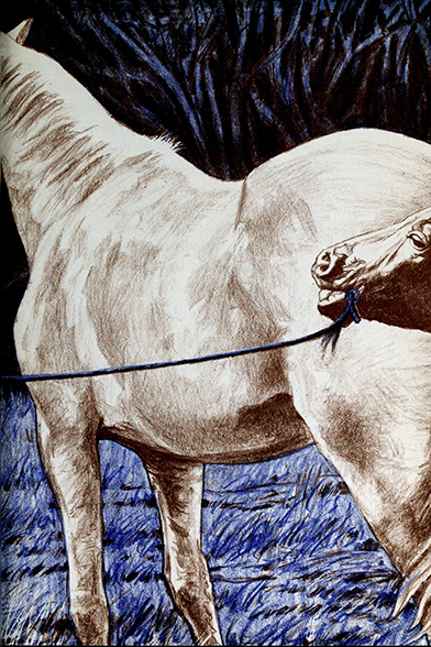 Lone Hunter and the wild horses